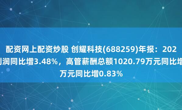 配资网上配资炒股 创耀科技(688259)年报：2024年净利润同比增3.48%，高管薪酬总额1020.79万元同比增0.83%